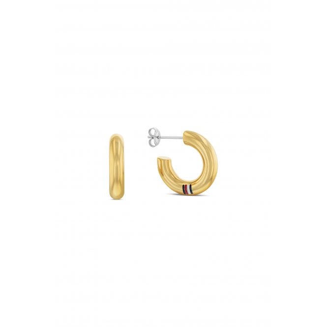 Ladies' Gold Plated Circles Earrings