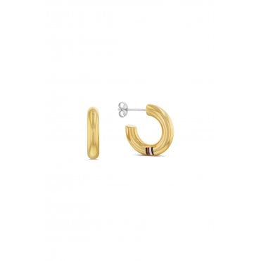 Ladies' Gold Plated Circles Earrings