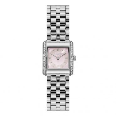 Ladies' Stainless Steel Berkley Watch