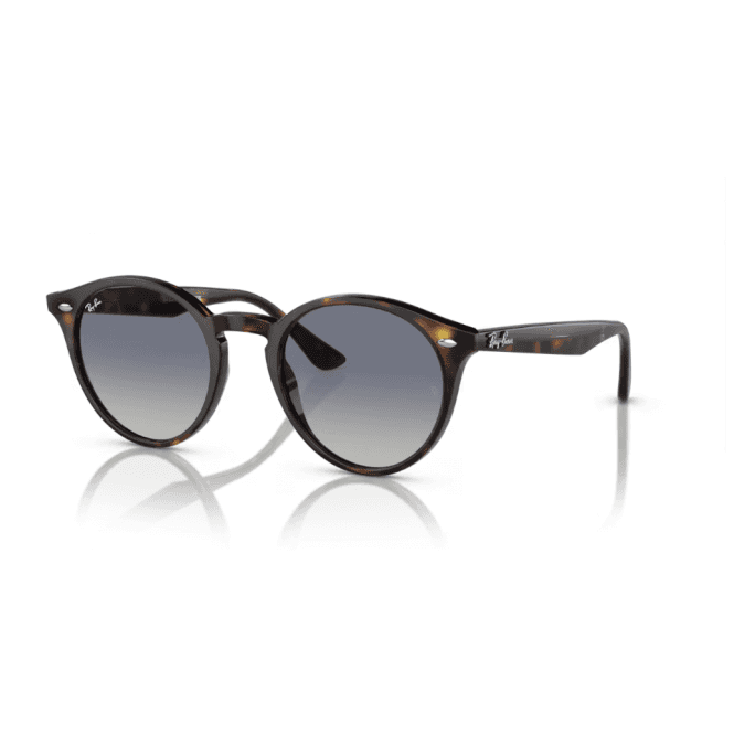 Light Havana Brown Sunglasses 