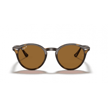 Light Havana Polarized Brown Sunglasses 