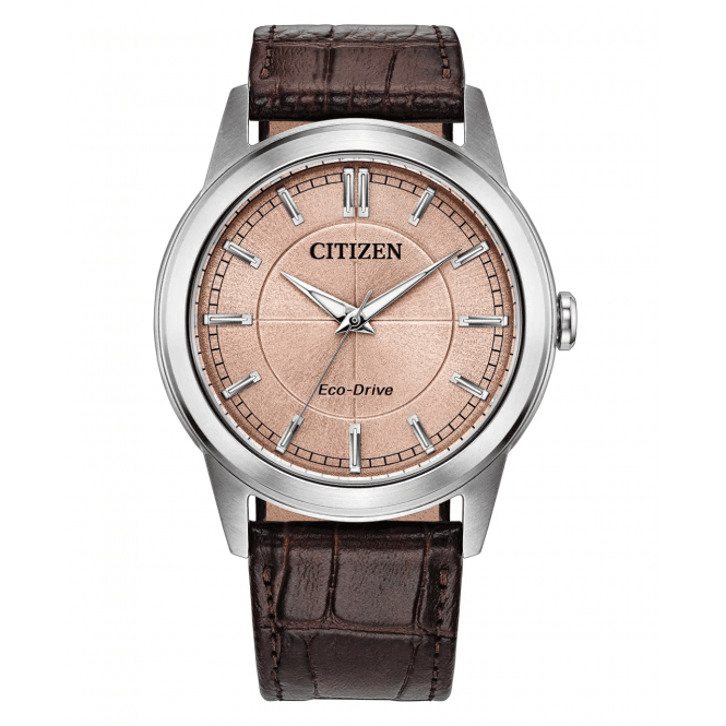 Men's Brown Leather Rolan Eco-Drive Watch