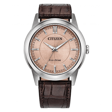 Men's Brown Leather Rolan Eco-Drive Watch