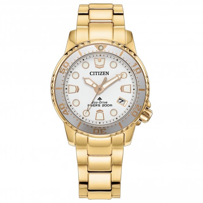 Mid-Size Gold Plated Promaster Diver Eco-Drive Watch