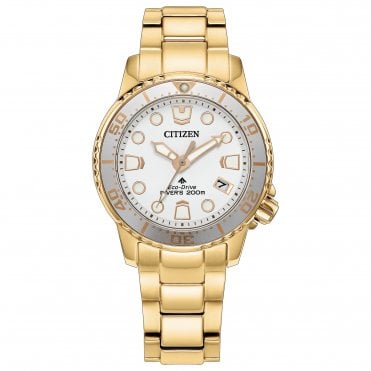 Mid-Size Gold Plated Promaster Diver Eco-Drive Watch
