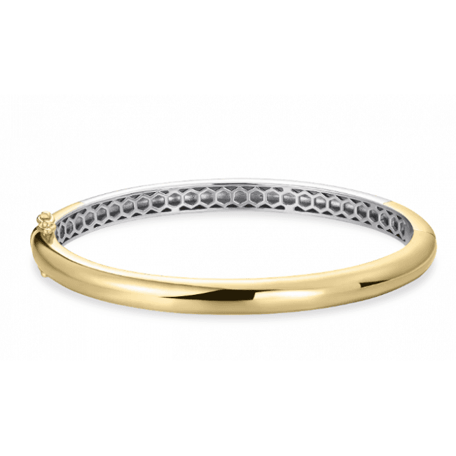 Polished Bold Bangle
