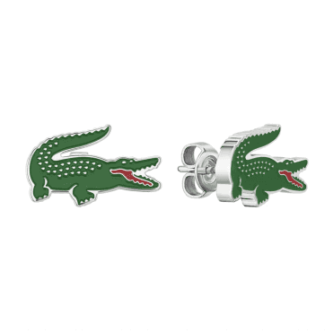 Stainless Steel Arthor Earrings