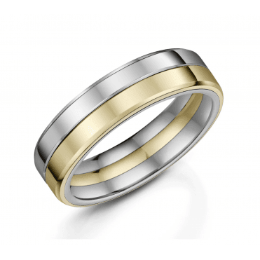 Titanium & 9ct Gold 6mm Wedding Ring
